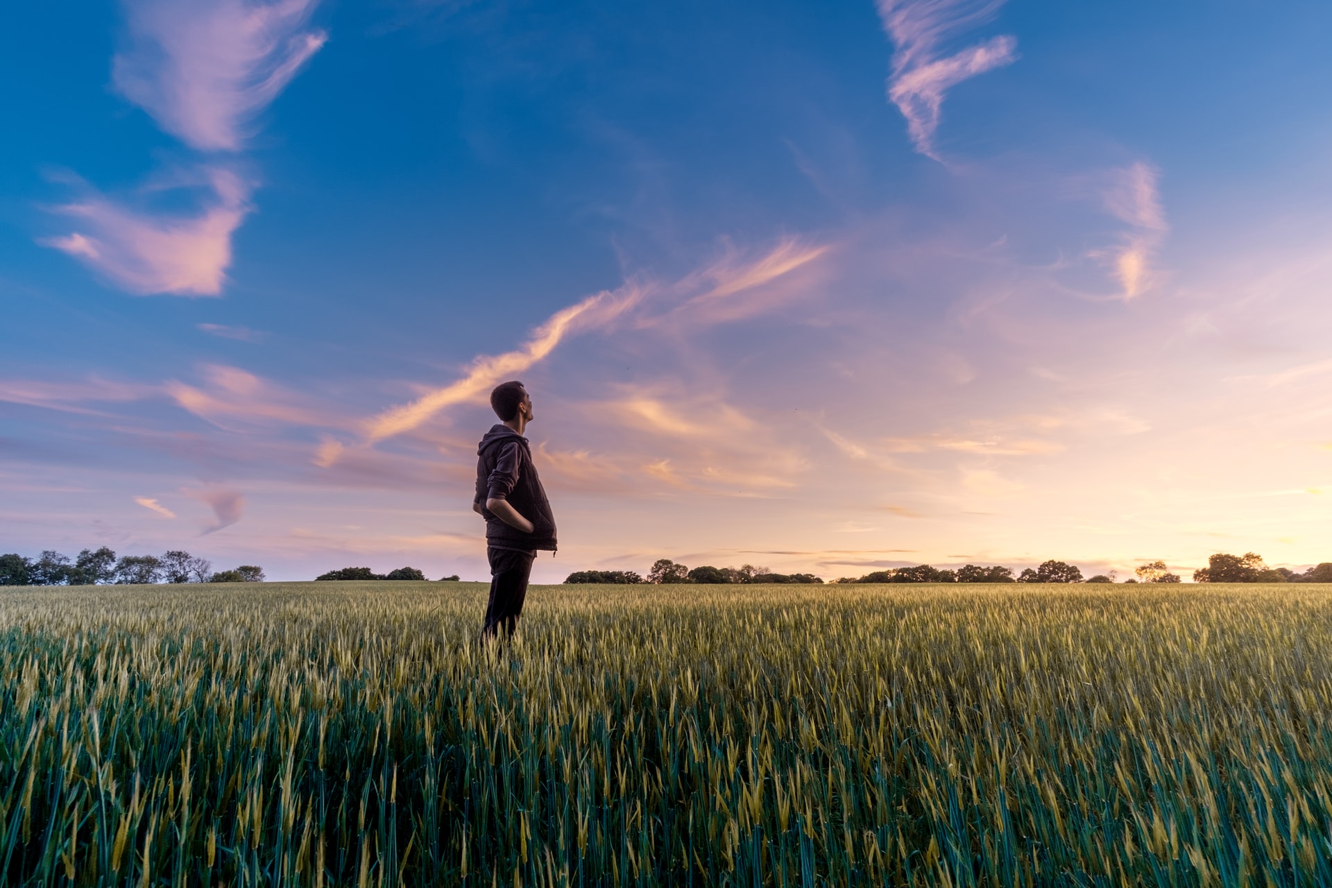 image of a man standing in a field looking up towards the sky
